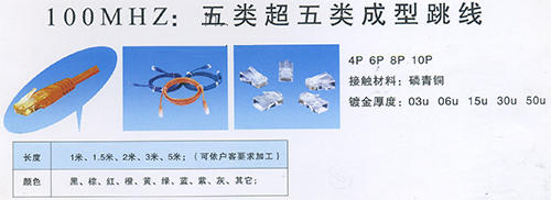 100MHZ：五類超五類成型跳線